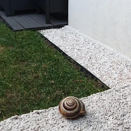 Lägenhet Z Ogrodem Przy Orlej Lublin