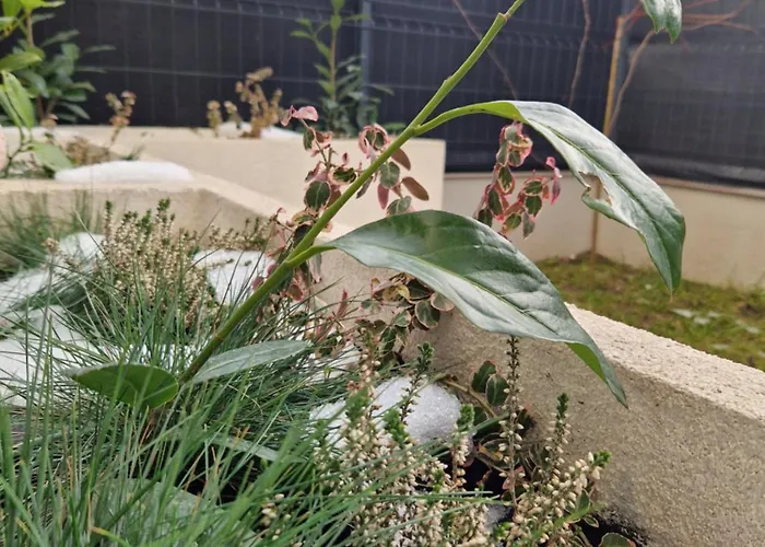 Z Ogrodem Przy Orlej